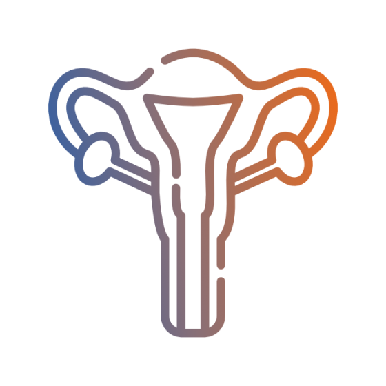 Gynaecology