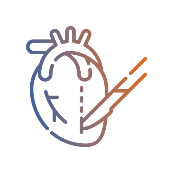 Vascular Surgery